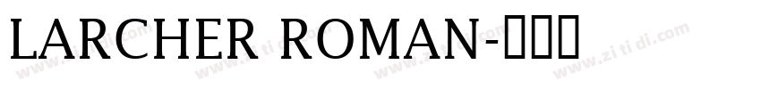 LARCHER ROMAN字体转换